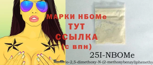 хмурый Арсеньев