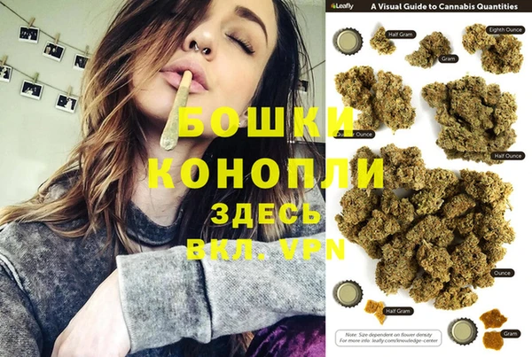 хмурый Арсеньев