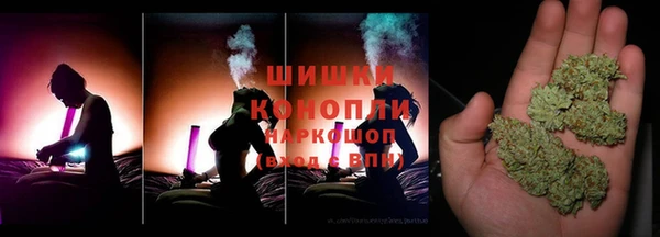 хмурый Арсеньев