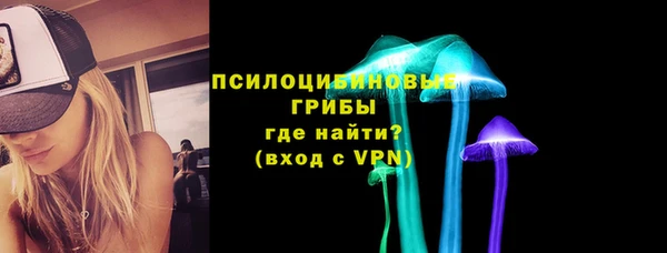 PSILOCYBIN Аркадак