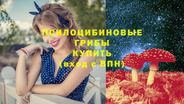 хмурый Арсеньев