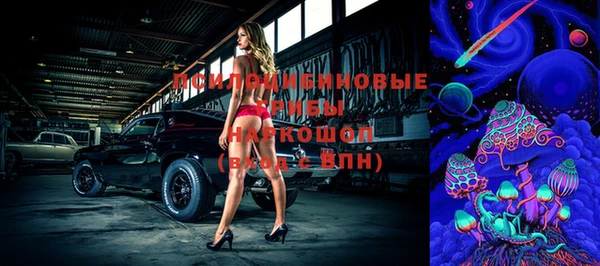 хмурый Арсеньев