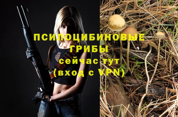 PSILOCYBIN Аркадак